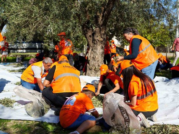 TARSUS’TA ZEYTİNLER LÖSEMİLİ ÇOCUKLAR İÇİN TOPLANDI