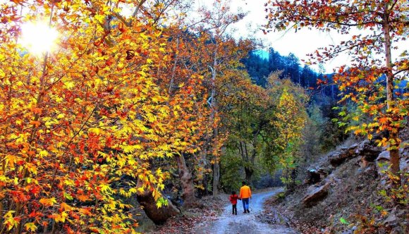 KAHRAMANMARAŞ’TA SONBAHAR RENKLERİ: GÖKSUN MANZARASIYLA BÜYÜLÜYOR