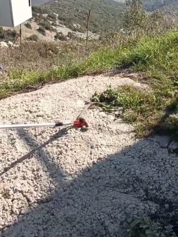 YAYLADAĞI’NDA YERLEŞİM YERİNDE GÖRÜLEN YILAN DOĞAYA BIRAKILDI