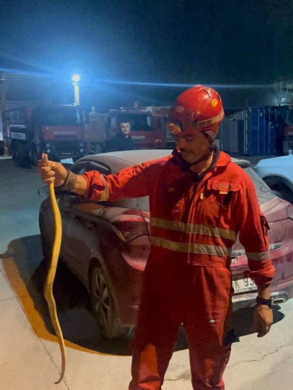 ANTAKYA’DA ARACIN İÇİNDE GÖRÜLEN YILAN YAKALANDI