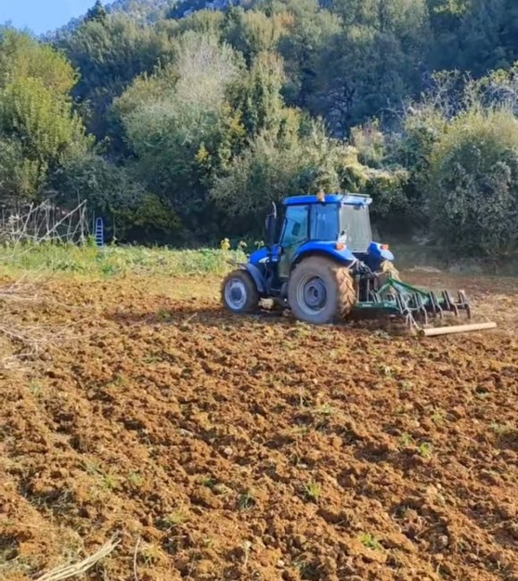 KAHRAMANMARAŞ’TA SONBAHAR YAĞMURLARI BUĞDAYA CAN SUYU OLDU