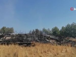 Arap Beleni’nde çıkan yangın, ormana ulaşmadan söndürüldü