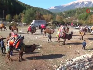 Eşekler üzerinde iki takımın kıran kırana futbol maçı