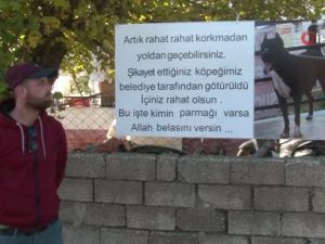 Hayvanseverden köpeğini şikayet edenlere pankartlı sitem