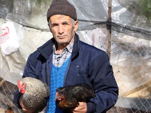 Son maaşı ile 100 tavuk alıp çiftlik kurdu, talebe yetişemiyor