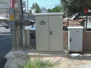 Elektrik panosuna giren sansar akıma kapılıp telef oldu