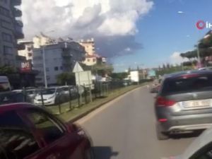 Antalya’da sahibini kaybeden köpek trafiği birbirine kattı