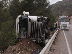 Antalya'da önüne domuz sürüsü çıkan tır devrildi