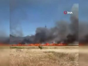 Buğday tarlasında çıkan yangın 30 dönümden fazla ekili alanı küle çevirdi