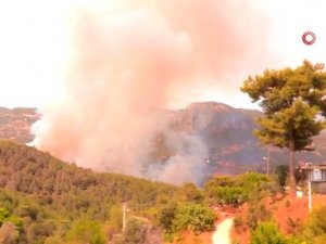 Alanya'da orman yangını kontrol altına alındı