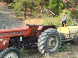 Kimliğini göstermeyenlerin mahalleye girmesine izin vermiyorlar