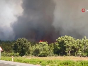 Manavgat'taki yangını 12 yaşındaki çocuk çıkarmış