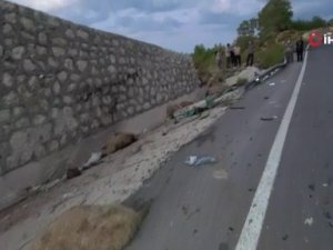 Koyun yüklü kamyon devrildi, baba ve oğlu öldü, anne ağır yaralandı