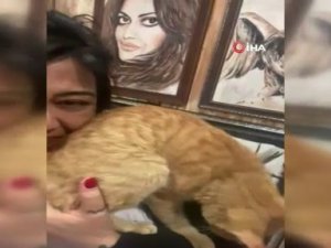 Ressam kadının sokaktan sahiplendiği kedi ‘masör’ çıktı