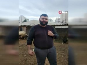 Biberon ile çocuğu gibi bakıyor