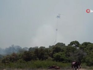 Antalya’da çamlık alandaki yangın kontrol altına alındı
