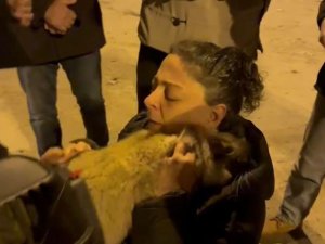 Diyarbakır'da 17 gündür enkazda olan 2 kedi kurtarıldı