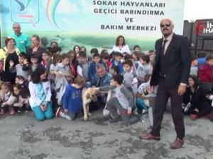 Antalyada sokak köpeğini tüfekle vurdular