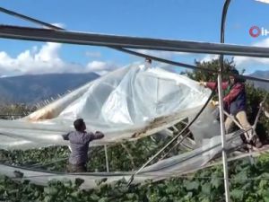 Kumluca'da hortumun ardından seraların tamiratı başladı